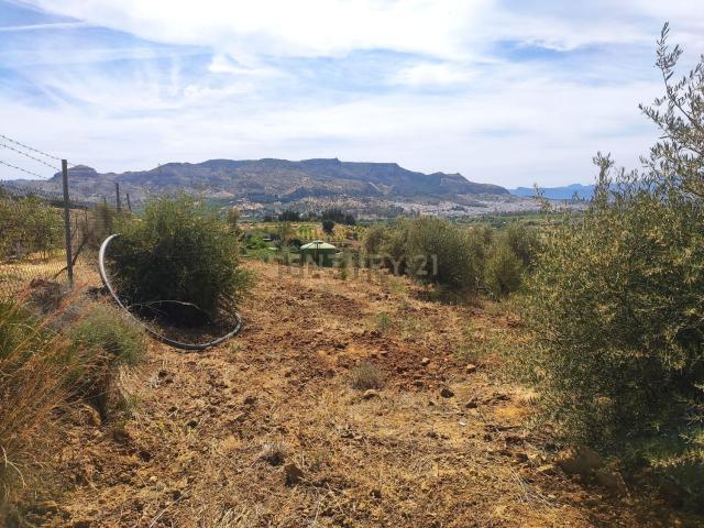 Terreno, Pizarra