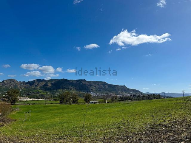 Terreno, Pizarra