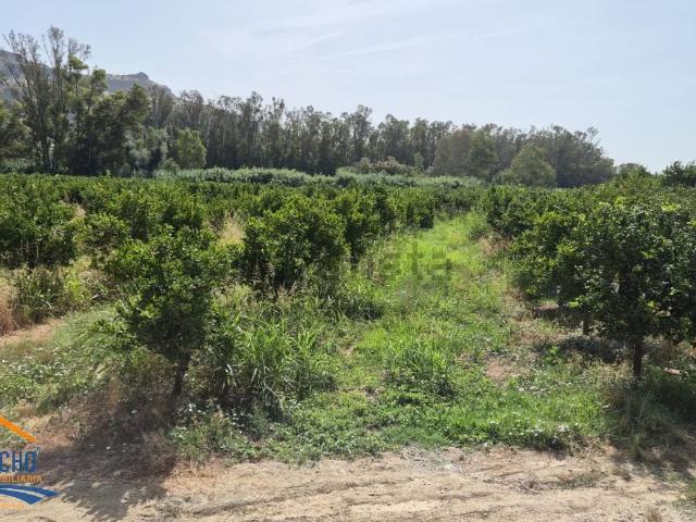 Terreno, Pizarra