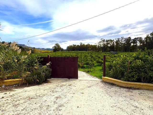 Terreno, Pizarra
