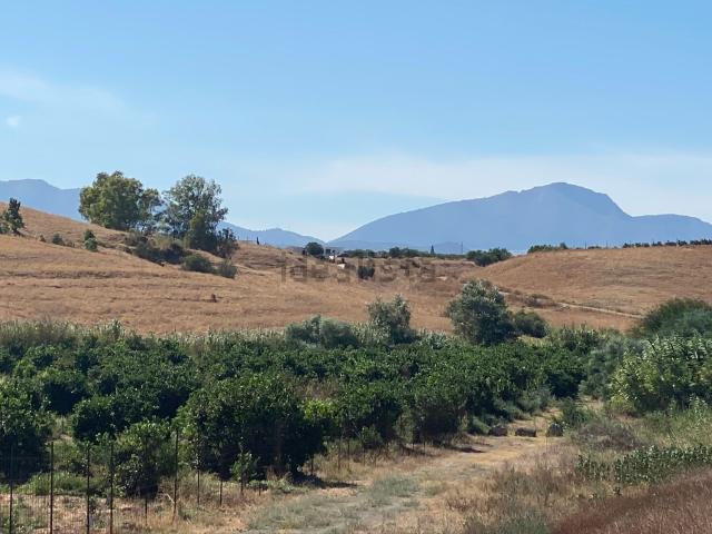 Terreno, Pizarra