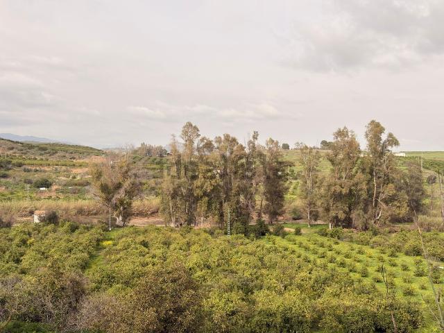 Terreno, Pizarra