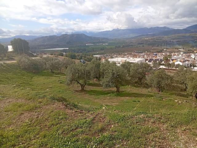 Terreno, Pizarra
