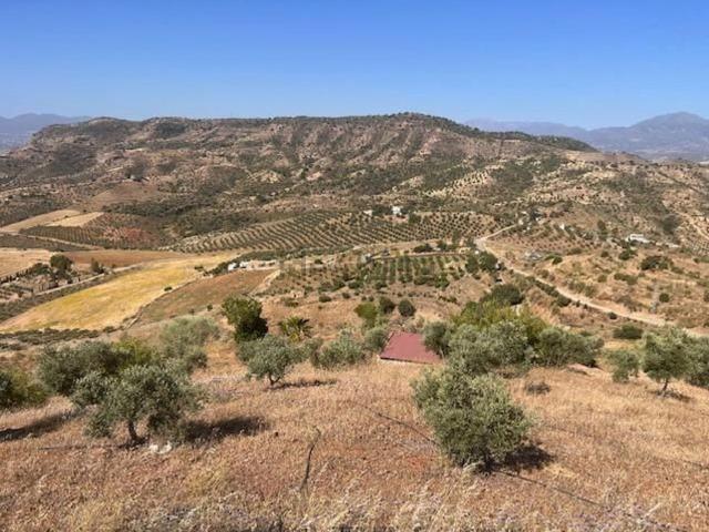 Terreno, Pizarra
