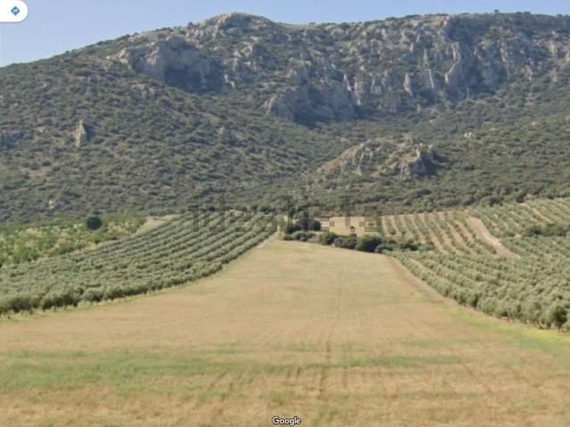 Terreno, Piñar