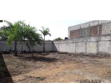 Terreno plano, Cesi?n de Derechos, Tetecolala, Tepoztl?n, Morelos?Clave 5762