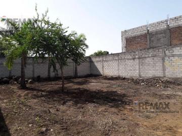 Terreno plano, Cesi?n de Derechos, Tetecolala, Tepoztl?n, Morelos?Clave 5762