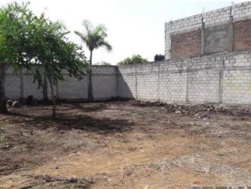 Terreno plano, Cesión de Derechos, Tetecolala, Tepoztlán, Morelos…Clave 5762