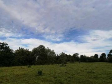 Terreno plano Cerro Cama chorrera KF
