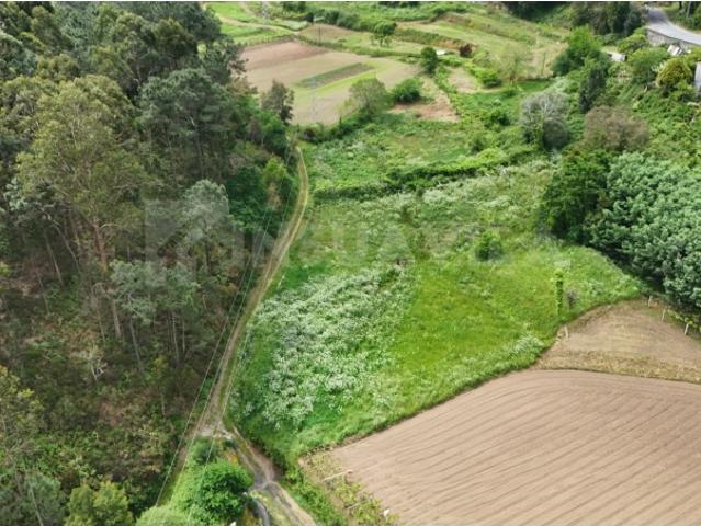 Terreno plano com 1290m2