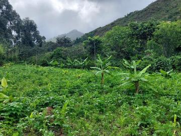 Terreno plano con dos vertientes, en un lugar muy tranquilo al lado de un río