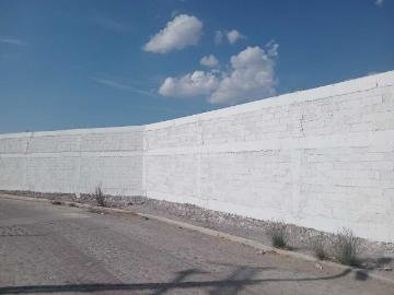 Terreno Plano de 13000 m2 en Renta San Jose Iturbide Guanajuato