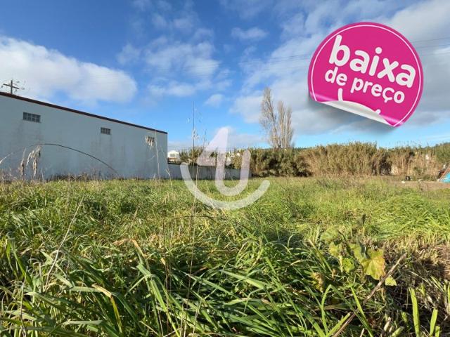 Terreno plano em Famalicão da Nazaré para venda