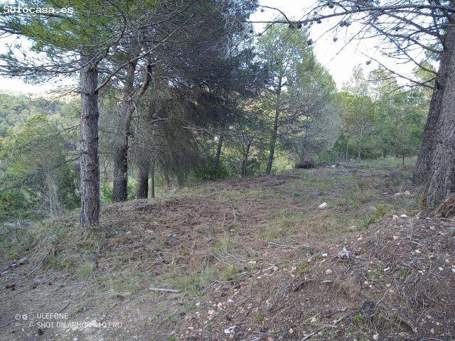 Terreno plano en urbanizacion