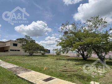 Terreno Plano en Venta Fraccionamiento Residencial el Lago Xalapa