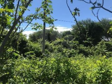 TERRENO PLANO EN VENTA VILLA CORONA CON ESCRITURAS
