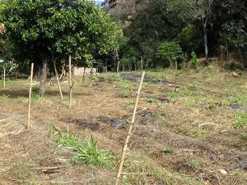 Terreno plano en Yangana, en un lugar privado, al lado del río