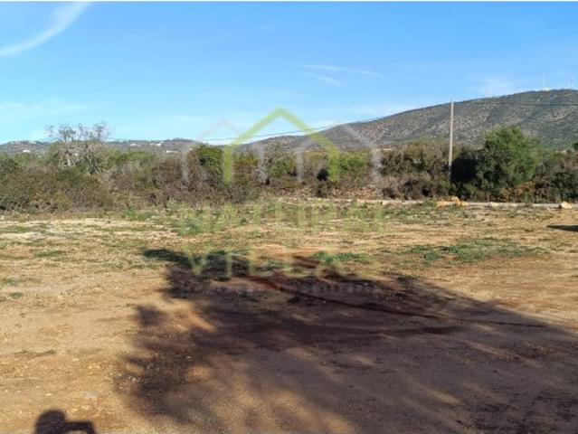 Terreno plano junto a estrada alcatroada em Quelfes, Olhão