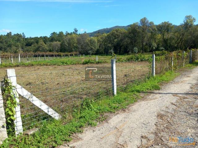 Terreno plano Junto EN101 | 26083638262