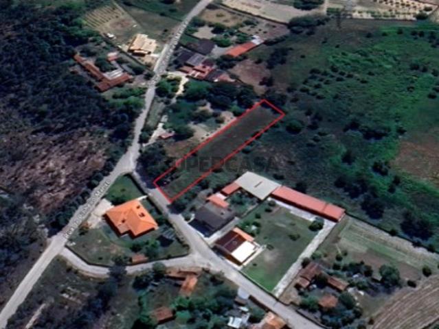 Terreno plano para construção Cantanhede