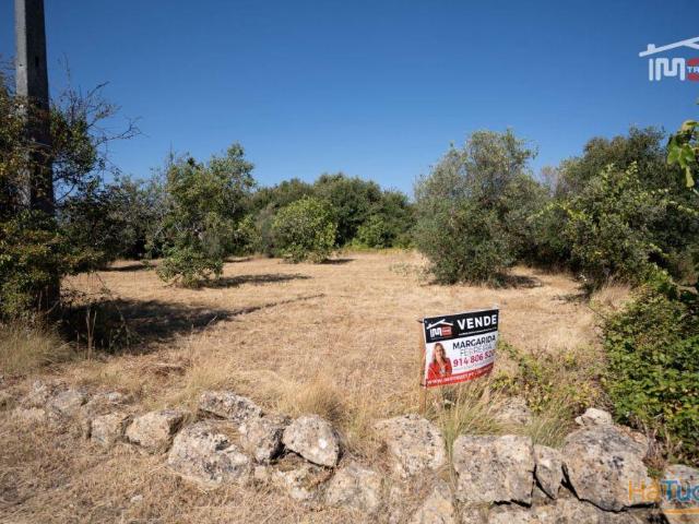 TERRENO PLANO PARA CONSTRUÇÃO COM 1?.011?m² PROXIMO DE OURÉM | 26084076238