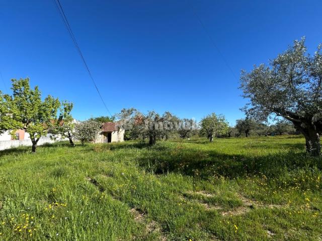 Terreno plano para construção Pesqueira, Tomar