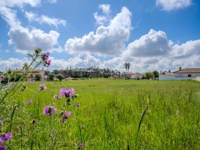 Terreno plano Urbanizável com 3966m2