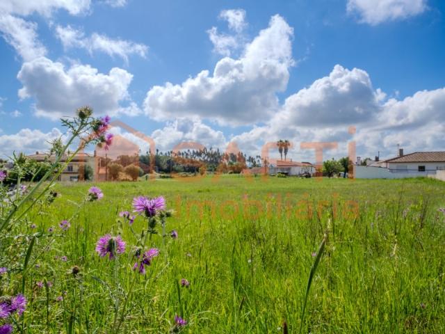 Terreno plano Urbanizável com 3966m2