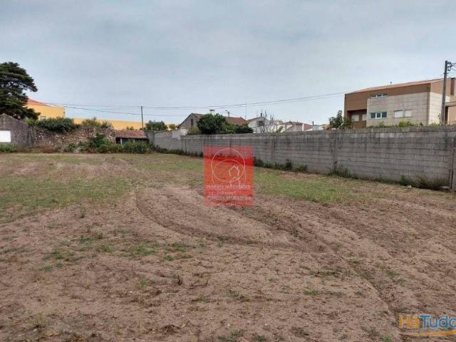 Terreno plano | 26083543528