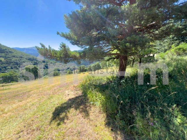 Terreno, Planoles
