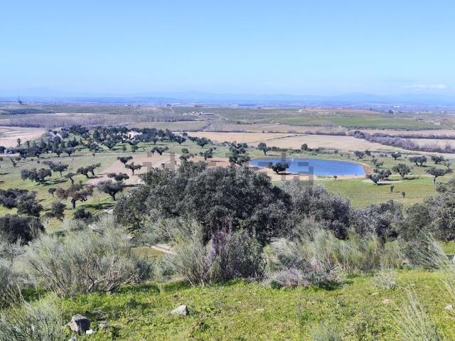 Terreno, Plasencia