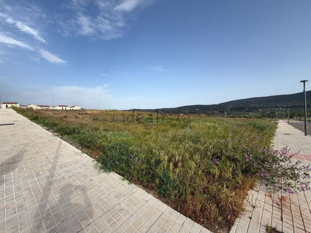 Terreno, Plasencia