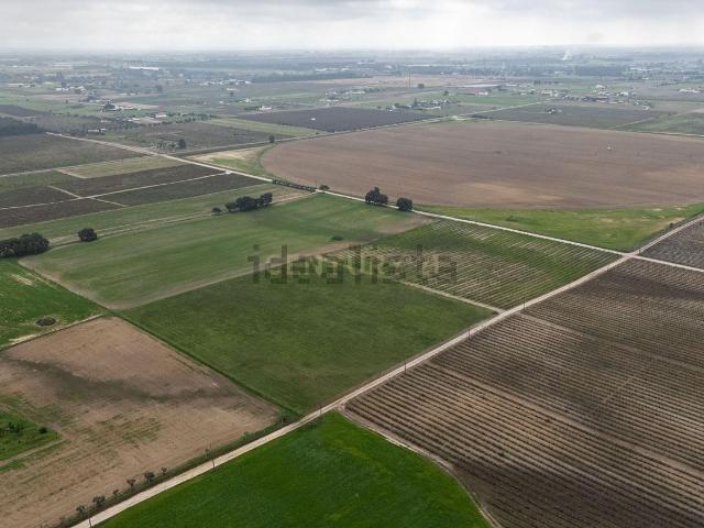 Terreno, Poceirão e Marateca