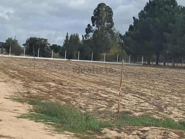 Terreno, Poceirão e Marateca