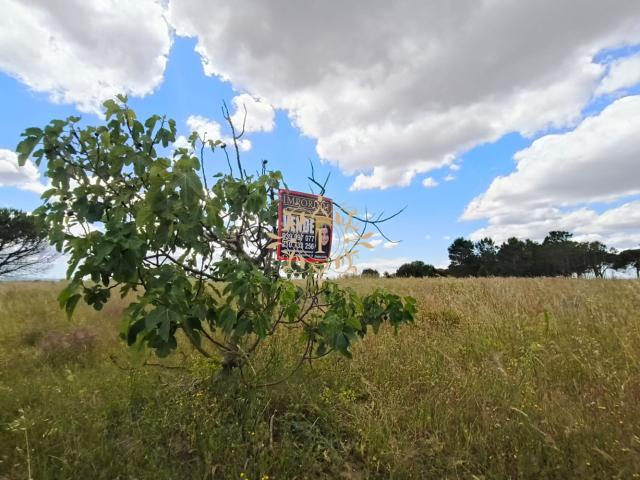 TERRENO POCEIRÃO