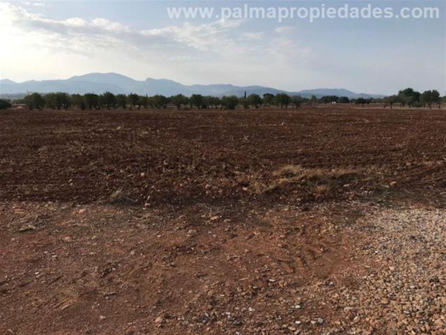 Terreno, Pobla Sa