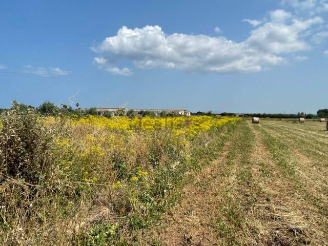Terreno, Pobla Sa