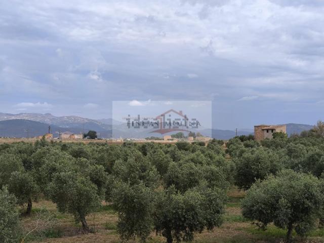 Terreno, Pobla Sa