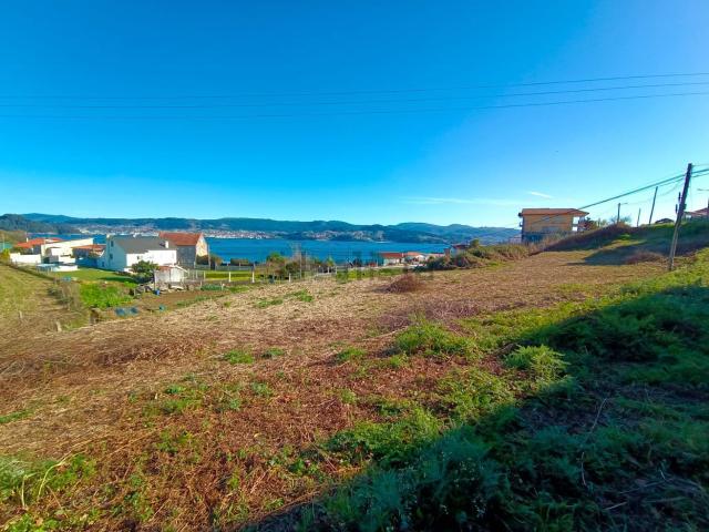 Terreno, Poio