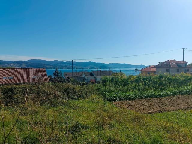 Terreno, Poio