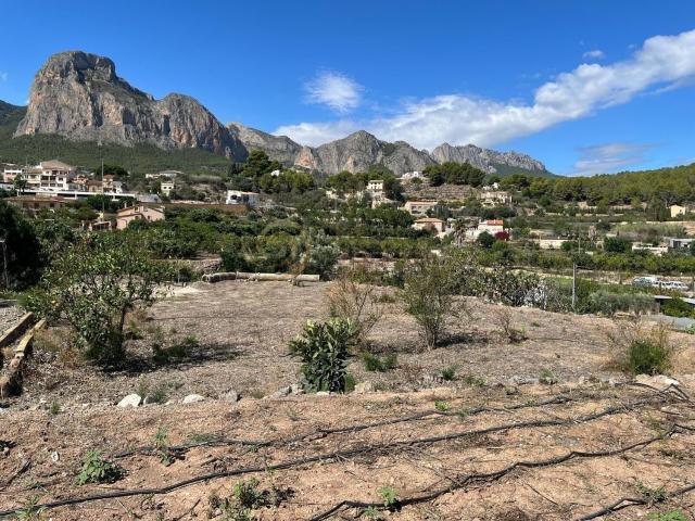 Terreno, Polop