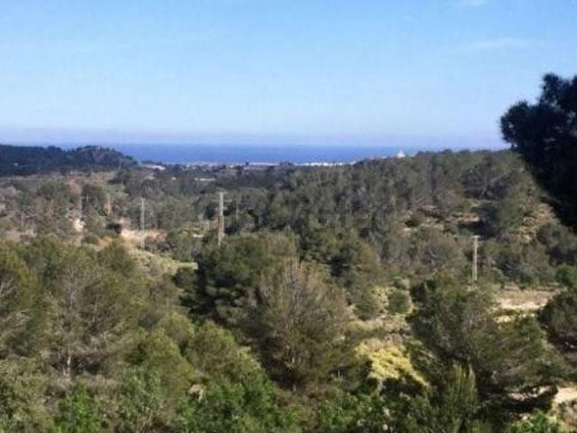 Terreno, Polop