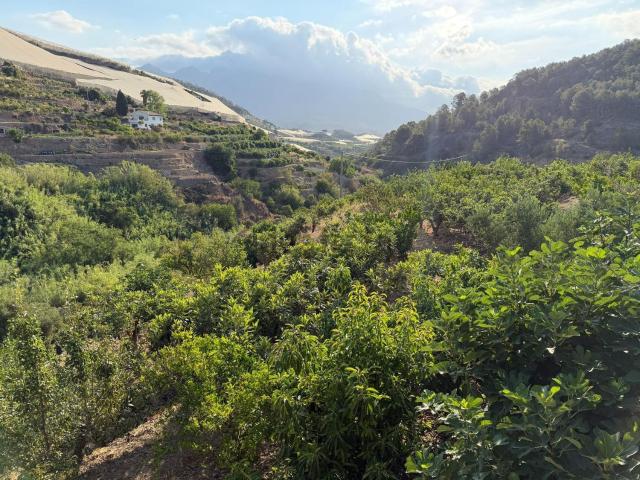 Terreno, Polop
