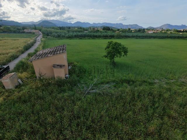Terreno, Pollença