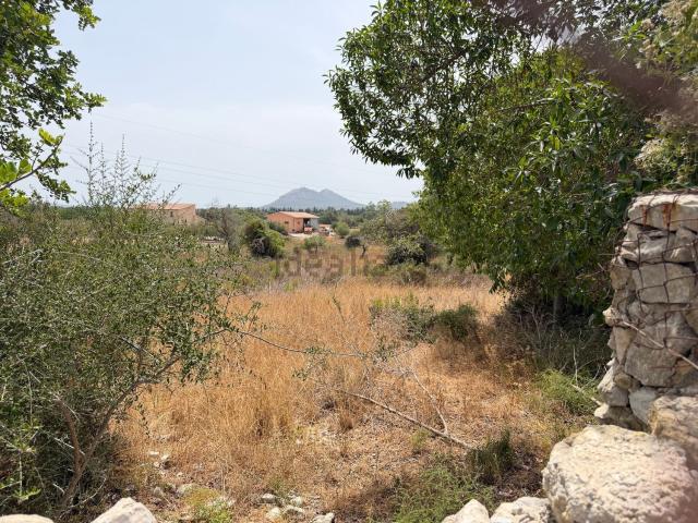 Terreno, Pollença