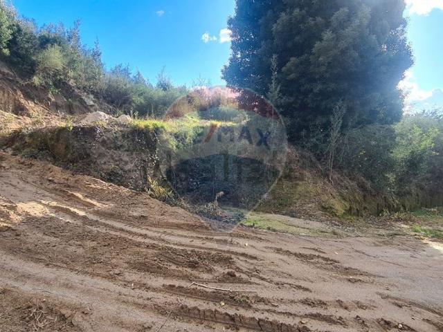 Terreno, Polvoreira