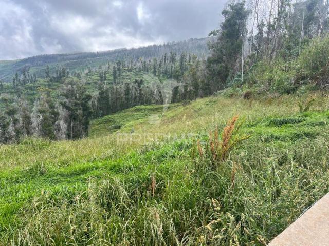 Terreno, Ponta do Pargo, Calheta | BPI Expresso Imobiliário