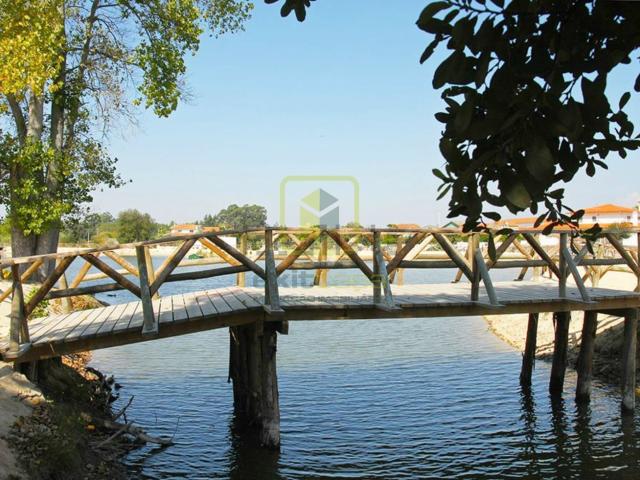Terreno, Ponte de Vagos
