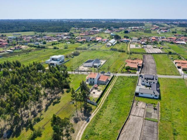 Terreno, Ponte de Vagos e Santa Catarina