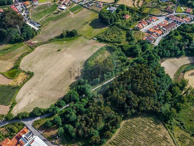 Terreno, Ponte
